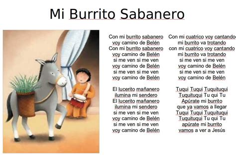 el burrito sabanero lyrics in english|mi burrito sabanero in english.